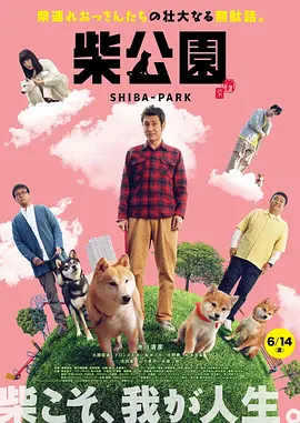 爱情永不老